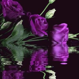 Meet your Posher, Martha